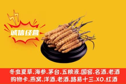 滁州琅琊区回收冬虫夏草